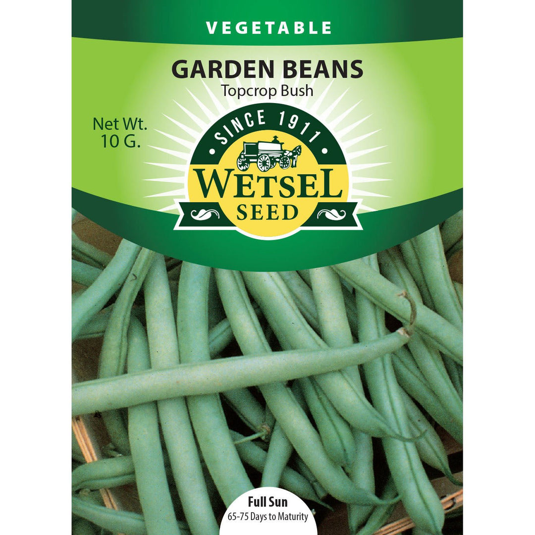 Wetsel Seed™ Topcrop Bush Garden Beans Seed - Greenhouse Megastore