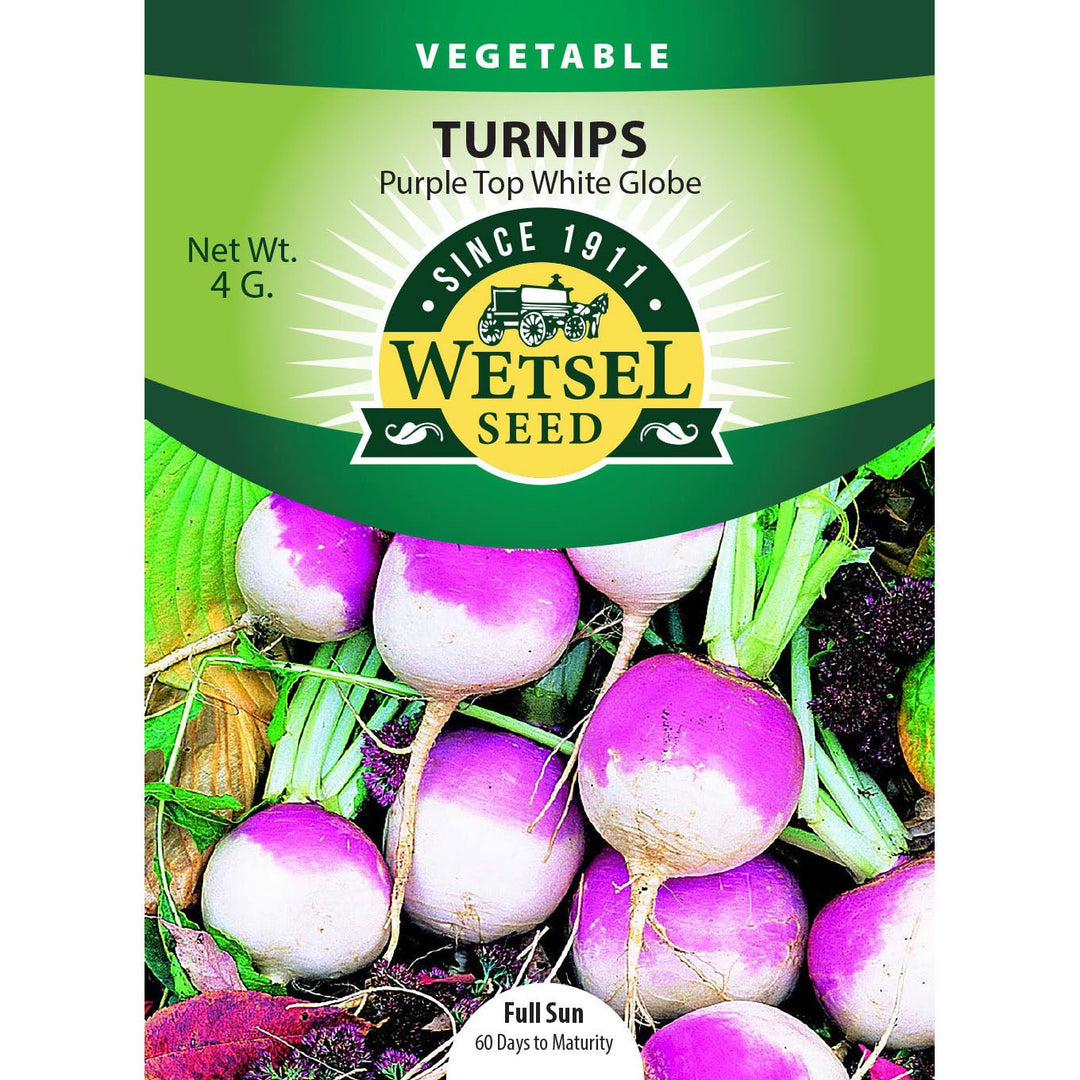 Wetsel Seed™ Turnip Purple Top White Globe Seed - Greenhouse Megastore