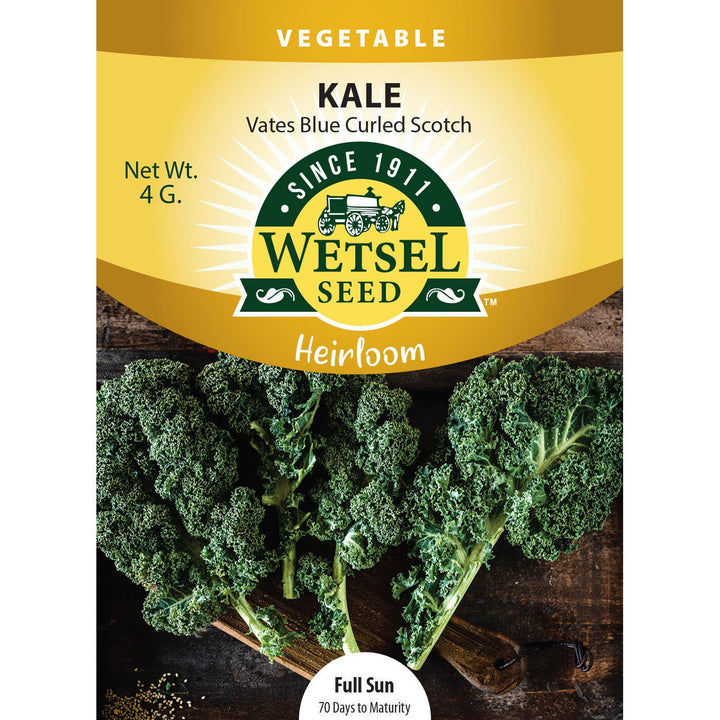 Wetsel Seed™ Vates Blue Curled Kale Seeds - Greenhouse Megastore