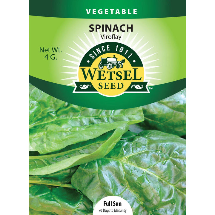 Wetsel Seed™ Viroflay Spinach Seed - Greenhouse Megastore