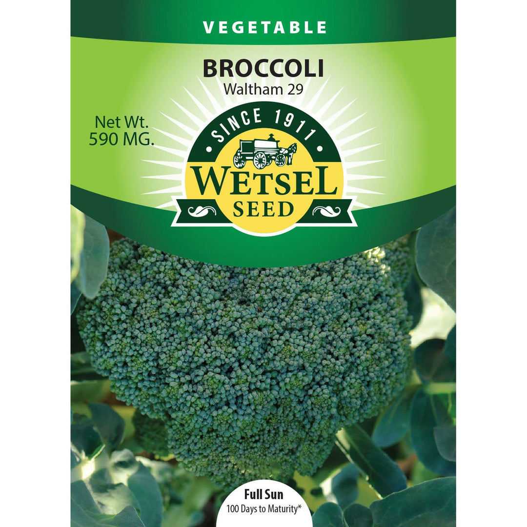 Wetsel Seed™ Waltham 29 Broccoli Seed - Greenhouse Megastore