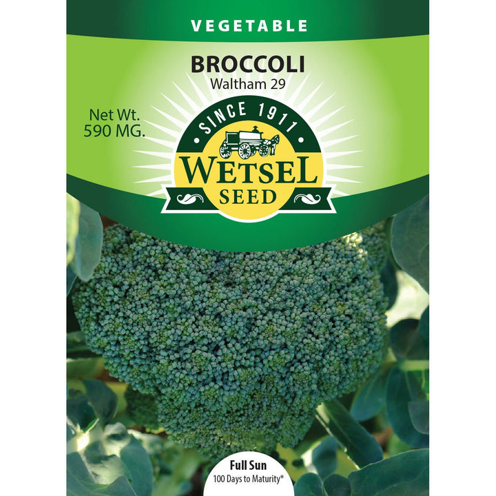 Wetsel Seed™ Waltham 29 Broccoli Seed - Greenhouse Megastore