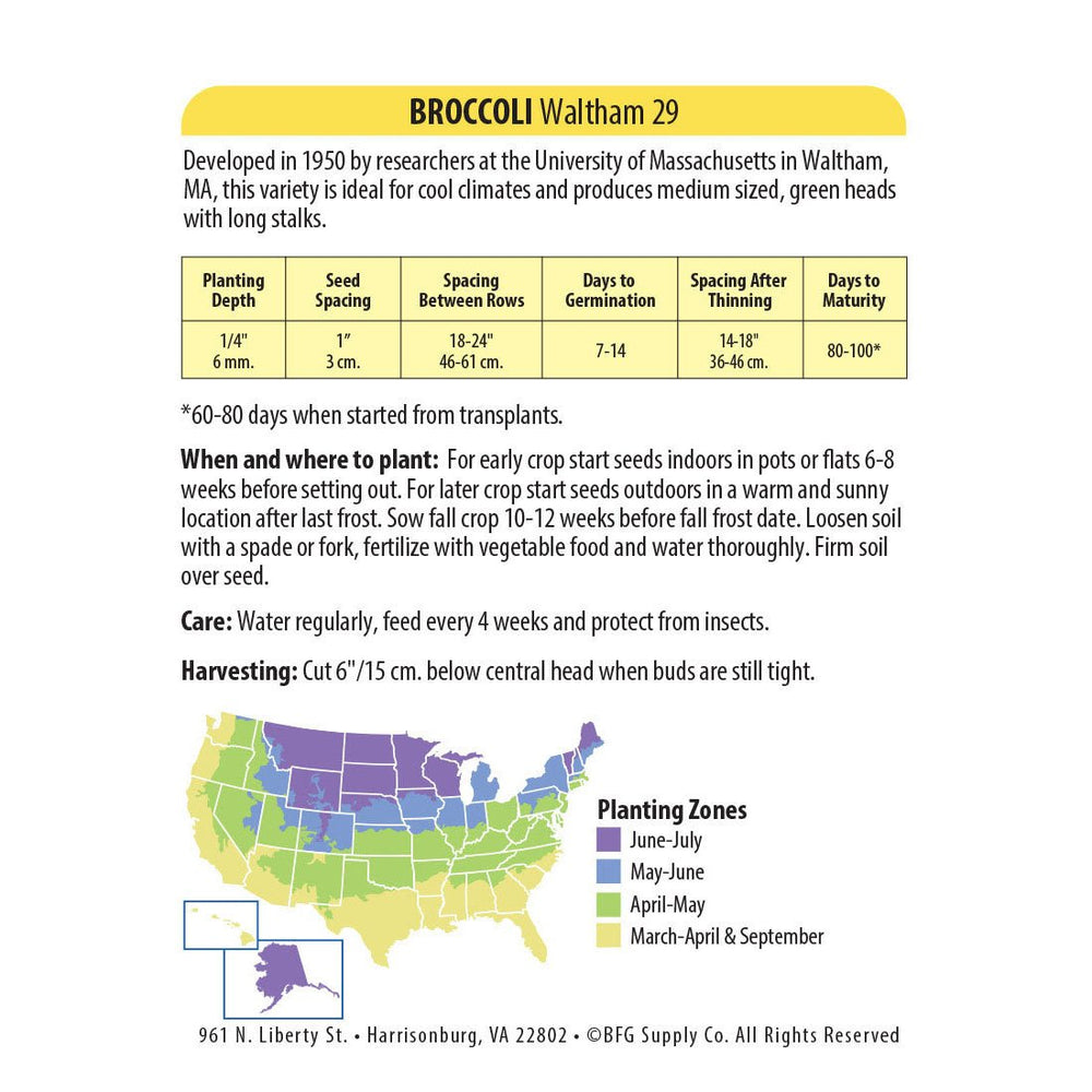 Wetsel Seed™ Waltham 29 Broccoli Seed - Greenhouse Megastore