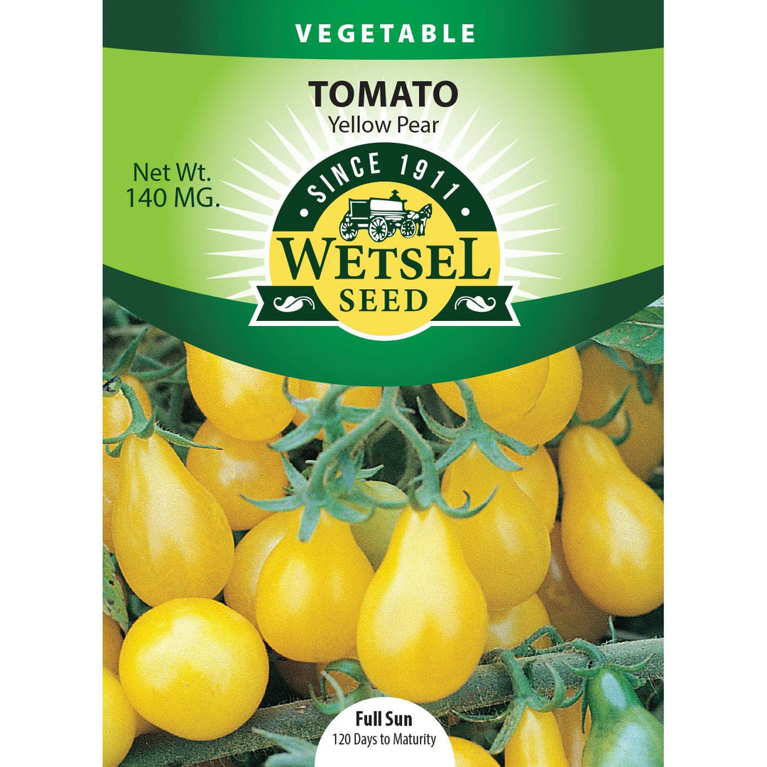 Wetsel Seed™ Yellow Pear Tomato Seed - Greenhouse Megastore