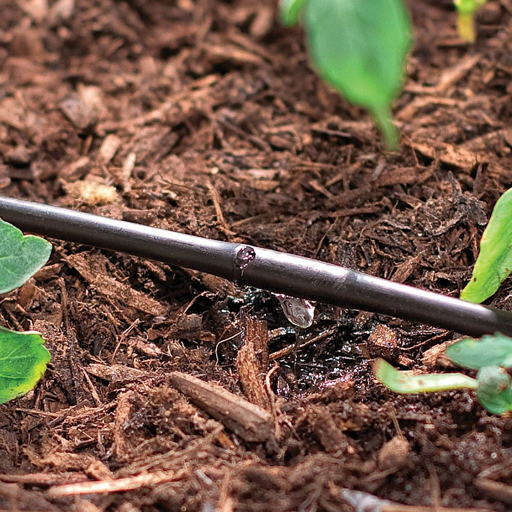 1/4 in. Microline Dripline - Greenhouse Megastore