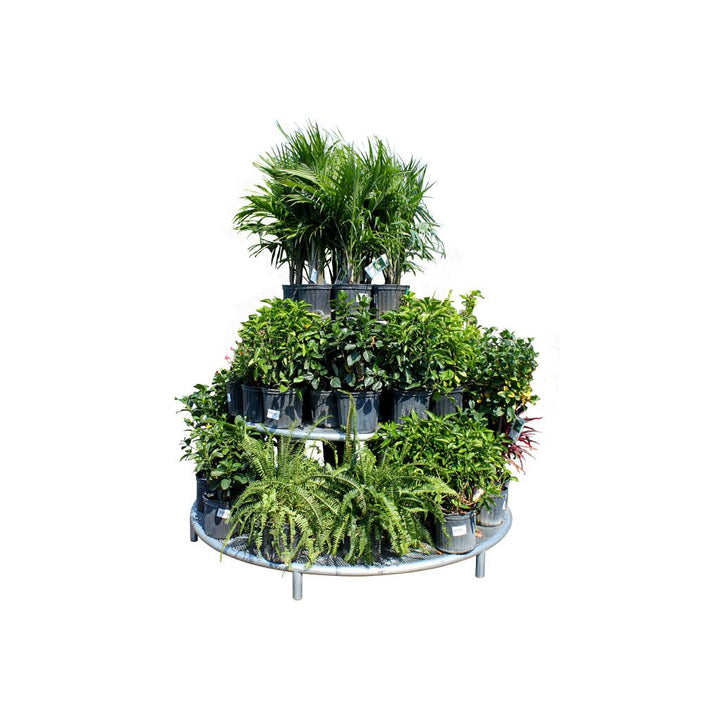 3 Level Circular Island Display Bench - Greenhouse Megastore