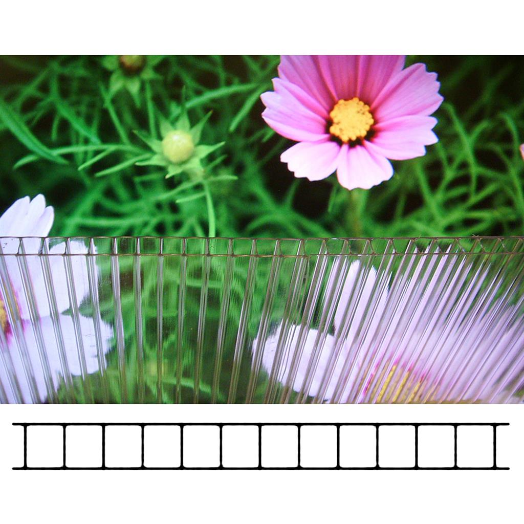 6mm Clear Twinwall Polycarbonate Panel - Greenhouse Megastore