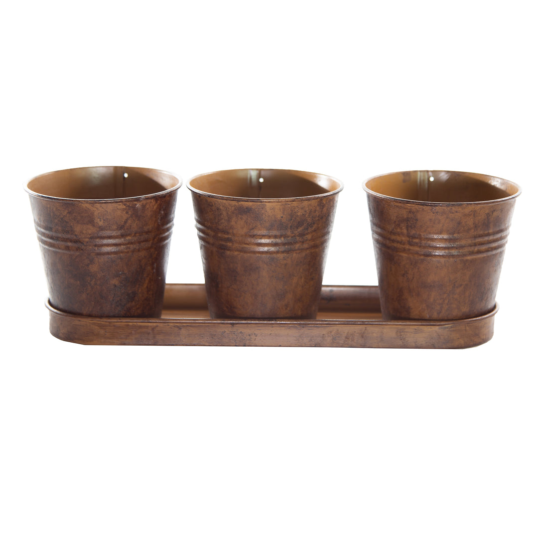 Gardener Select™ Farmhouse Collection 4 in. Pot and Tray Set