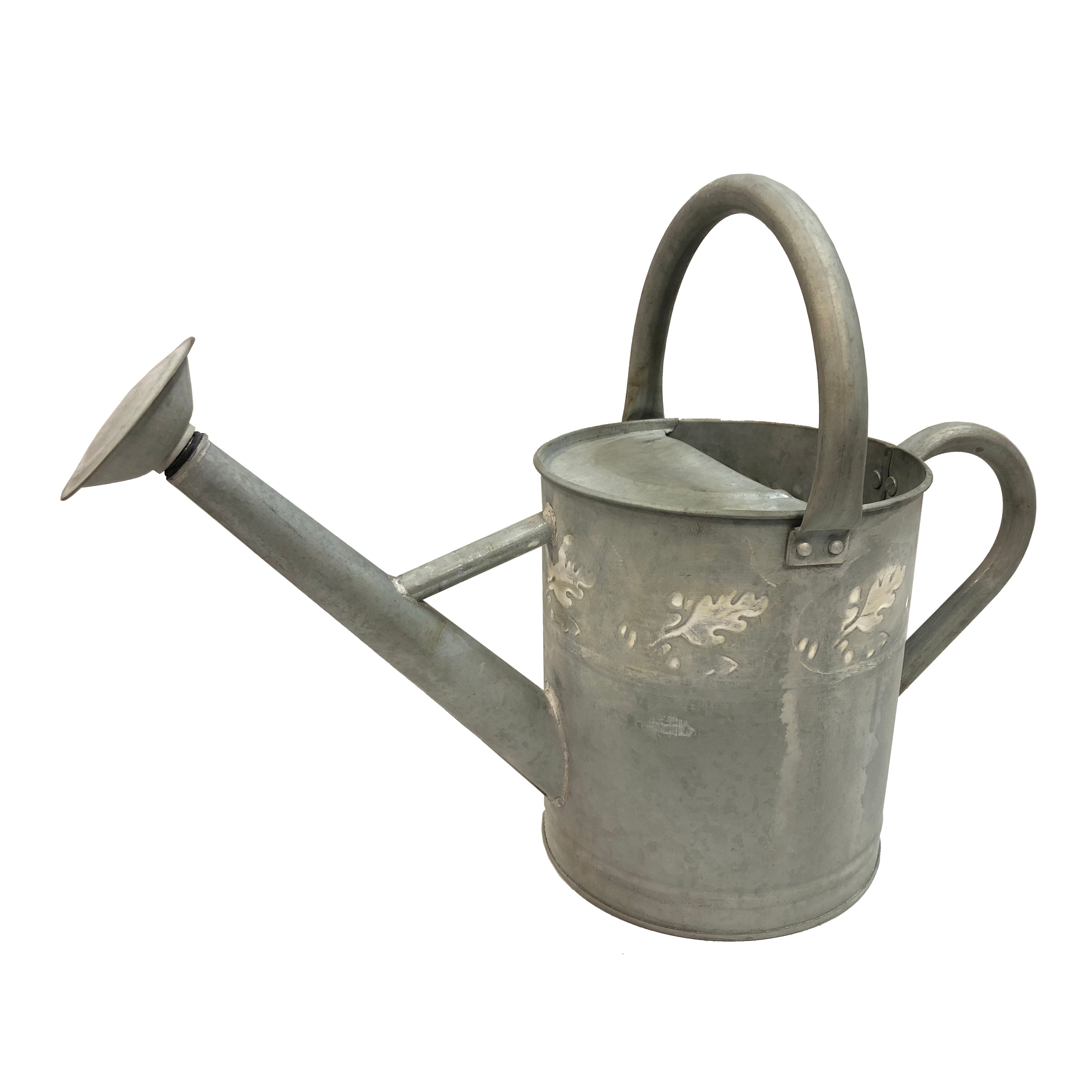 Gardener Select® Watering Can – Greenhouse Megastore