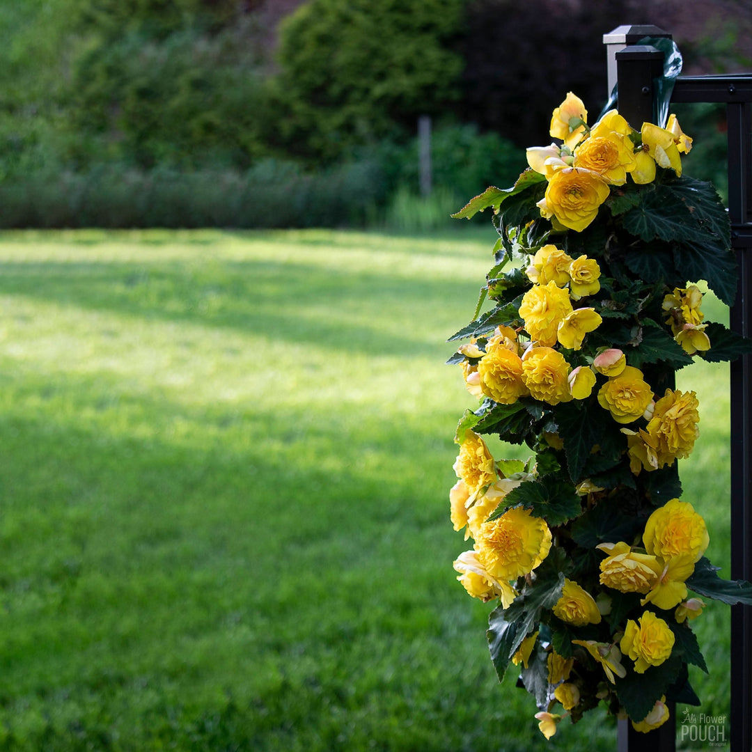 Al's Hanging Flower Pouches for Greenhouses and Decorations - Greenhouse Megastore