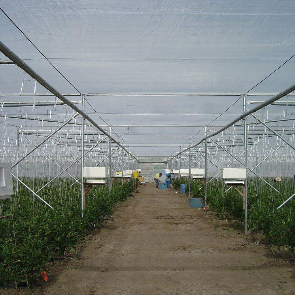 Anti - Insect Netting 50 Mesh - Greenhouse Megastore