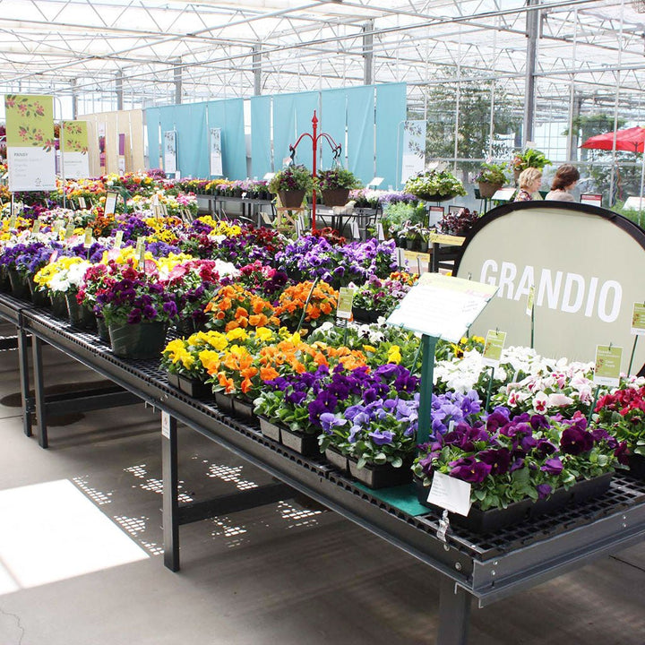 AV Lifetime Bench - Folding Legs - Greenhouse Megastore