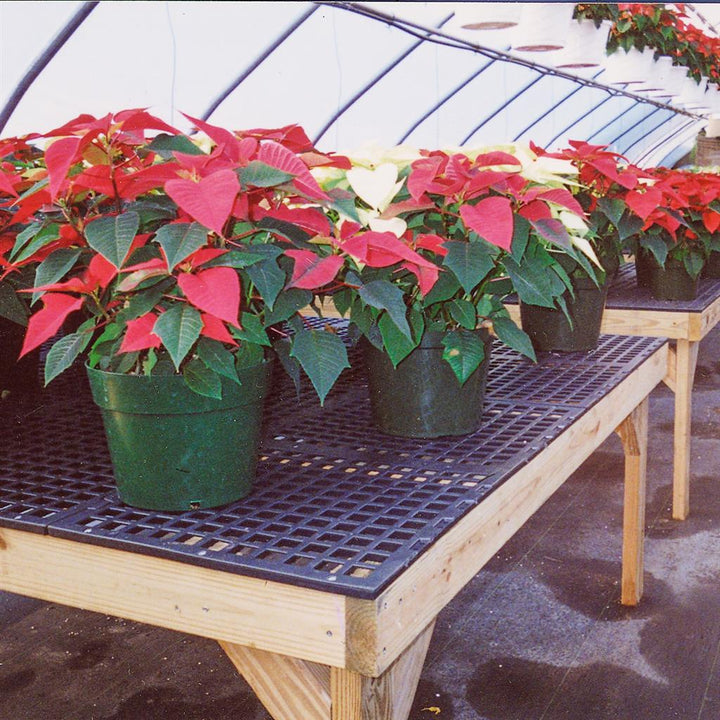 AV Plastic Bench Top/Flooring - Greenhouse Megastore