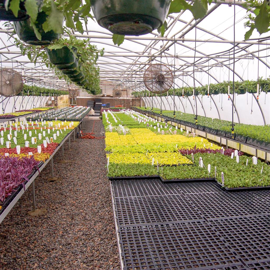 AV Plastic Bench Top/Flooring - Greenhouse Megastore
