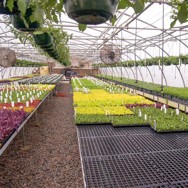 AV Plastic Bench Top/Flooring - Greenhouse Megastore