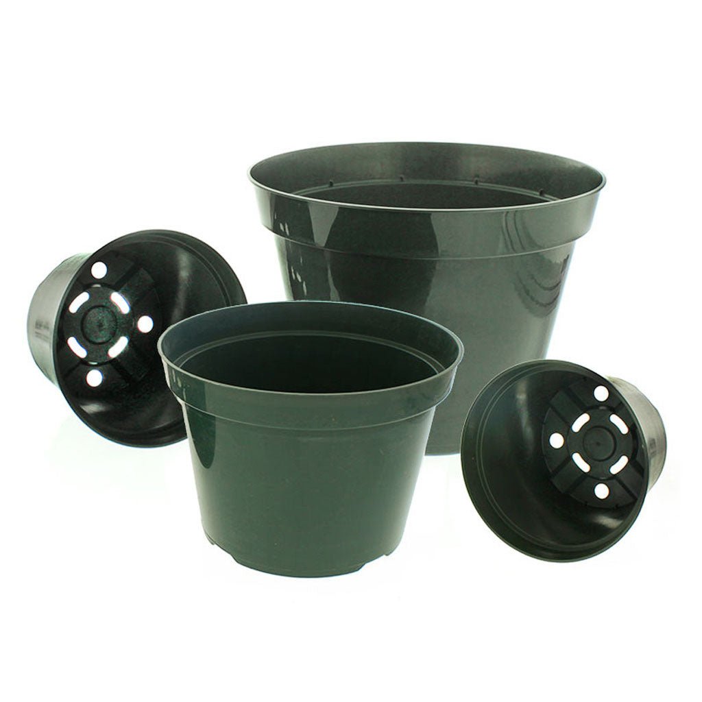 Azalea Green Round Pots - Greenhouse Megastore