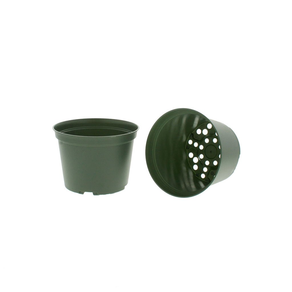 Azalea Green Round Pots - Greenhouse Megastore