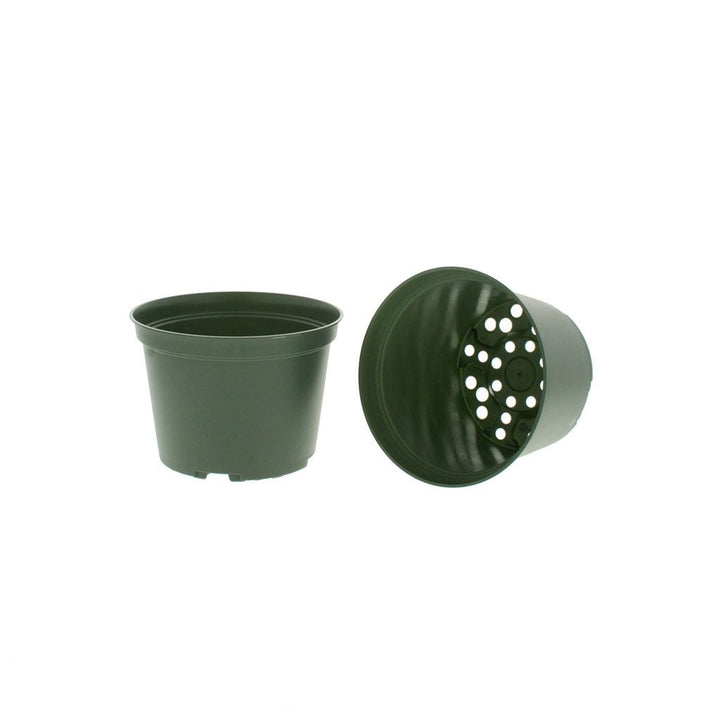 Azalea Green Round Pots - Greenhouse Megastore