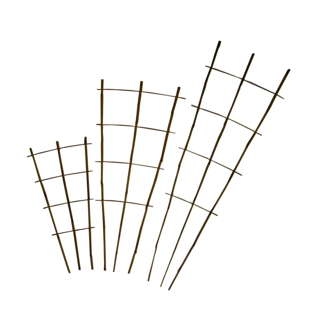 Bamboo Fan Trellis - Pack of 6 - Greenhouse Megastore
