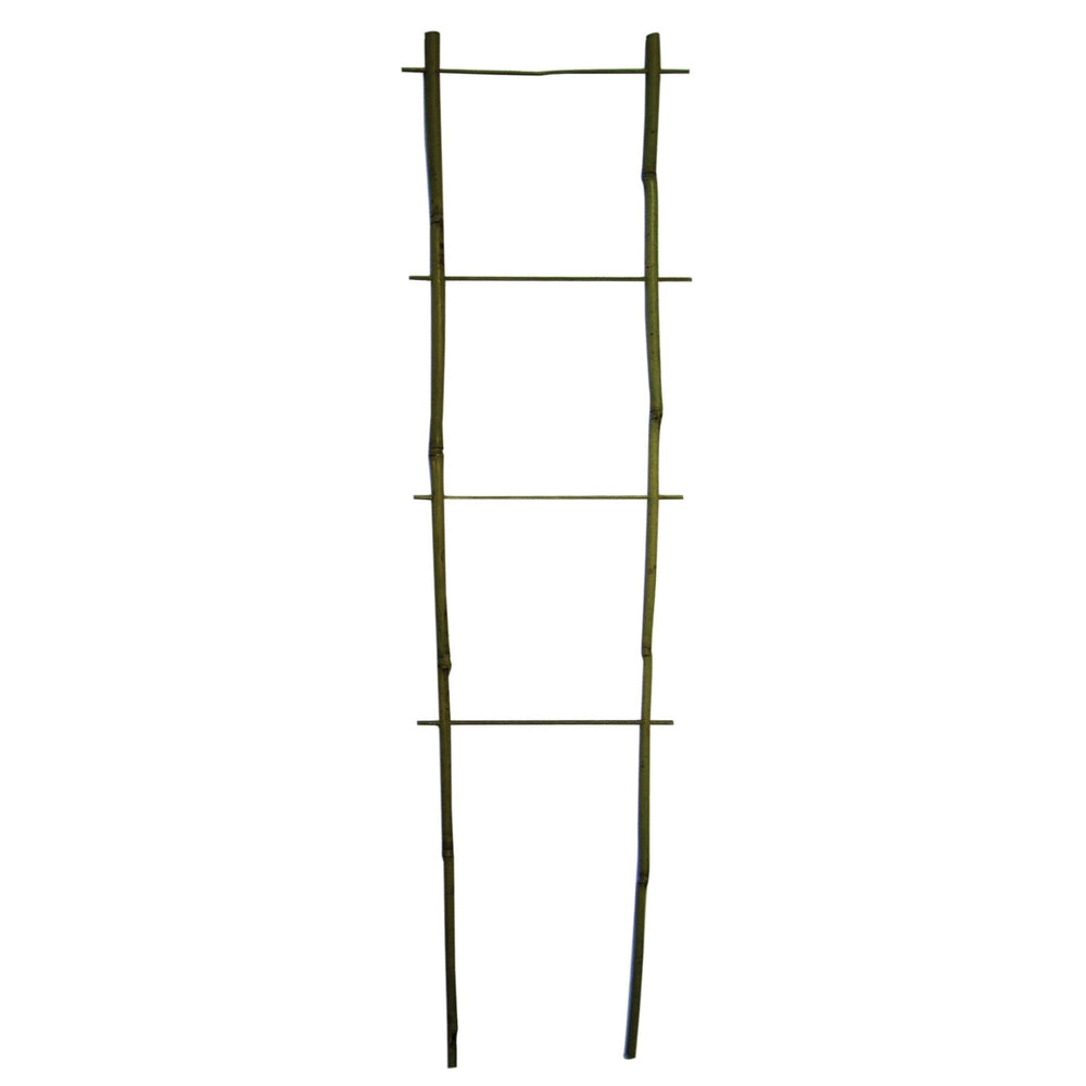 Bamboo Flair Trellis - Pack of 10 - Greenhouse Megastore