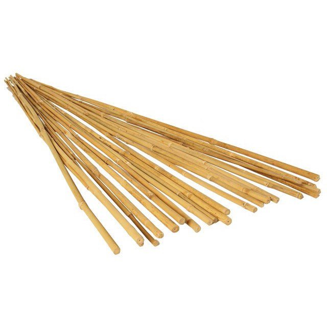 Bamboo Stakes - Greenhouse Megastore