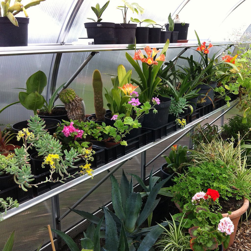 Bench Kit for Riga Greenhouse - Greenhouse Megastore