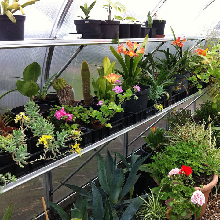 Bench Kit for Riga Greenhouse - Greenhouse Megastore