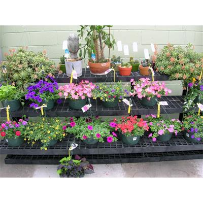 Benchmaster™ 3 Shelf Wall Display - Greenhouse Megastore