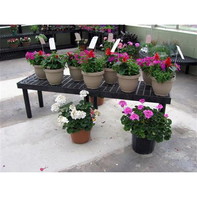 Benchmaster™ Single Level Display Bench - Greenhouse Megastore