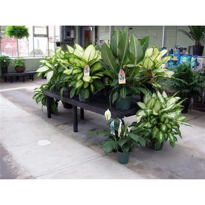 Benchmaster™ Single Level Display Bench - Greenhouse Megastore