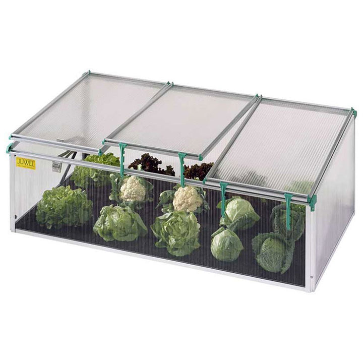 BioStar Premium Cold Frame Kit 5 x 3 ft. with 8mm Twin - Wall Polycarbonate Panels - Greenhouse Megastore