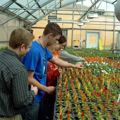 California 30 ft. x 60 ft. Teaching Greenhouse Package with 8mm Twinwall Polycarbonate Covering - Greenhouse Megastore