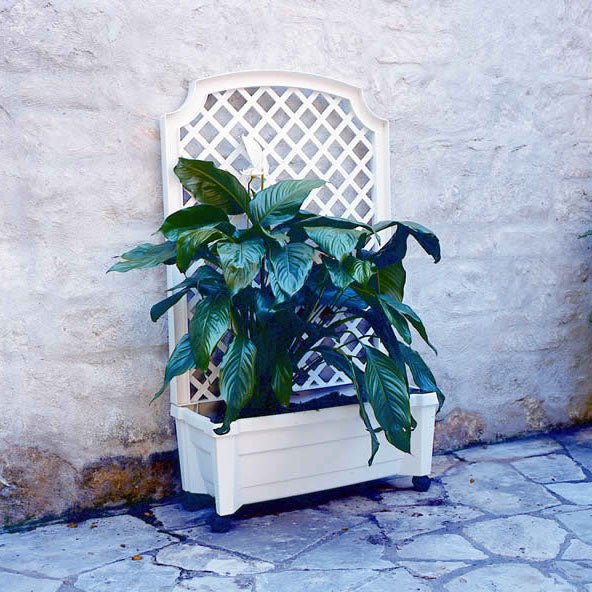 Calypso 31 x 13.5 x 53 in. Planter with Trellis & Reservoir - Greenhouse Megastore