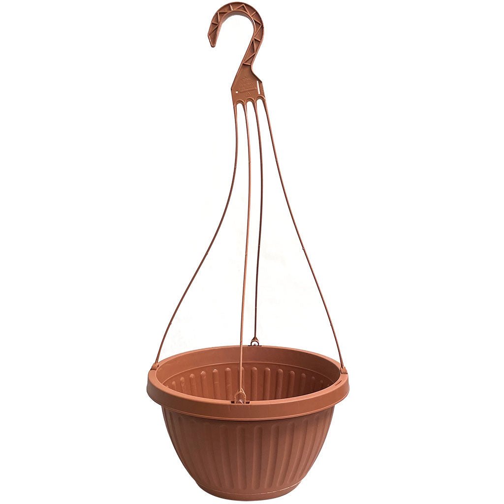 Centabella 12 in. Hanging Basket + Hanger - Greenhouse Megastore