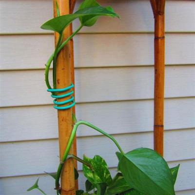 Bendable Plant Tie