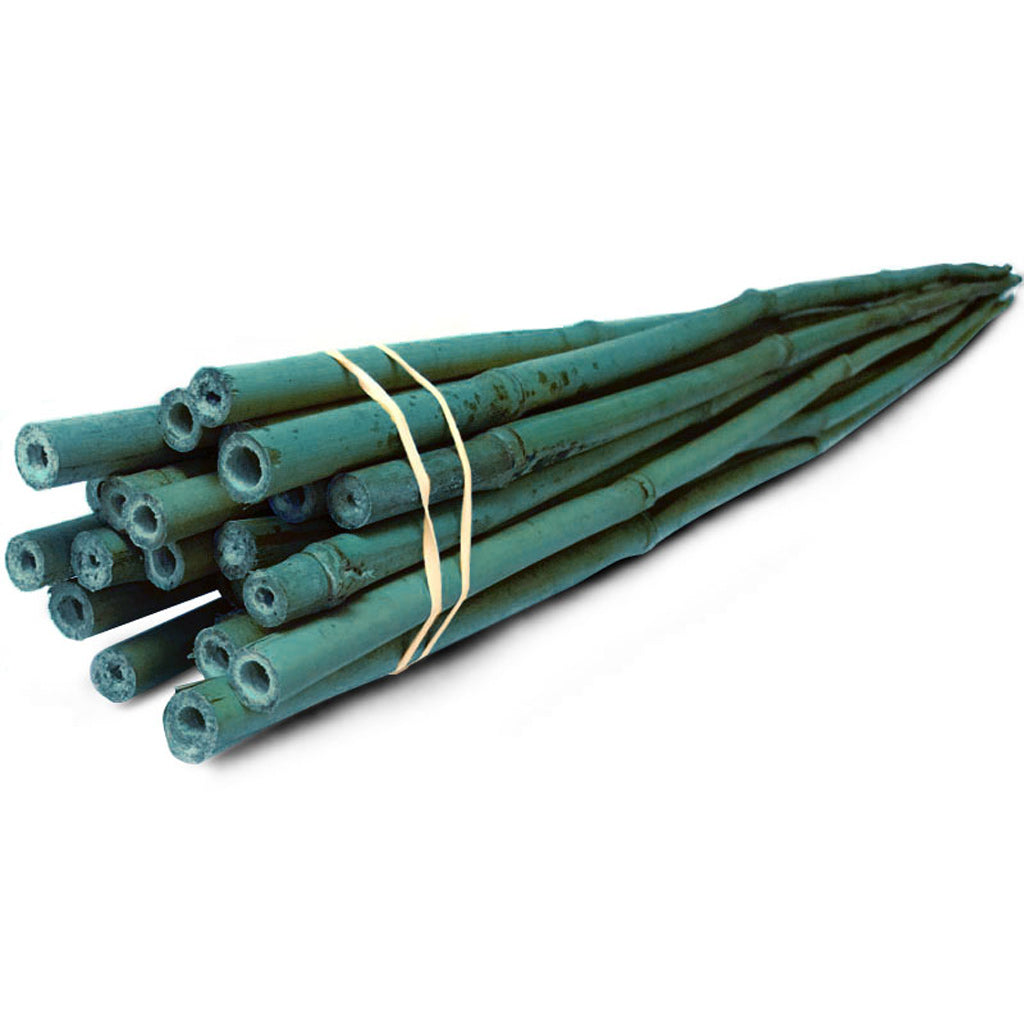 6' Bamboo Stakes, Natural, Pack of 25