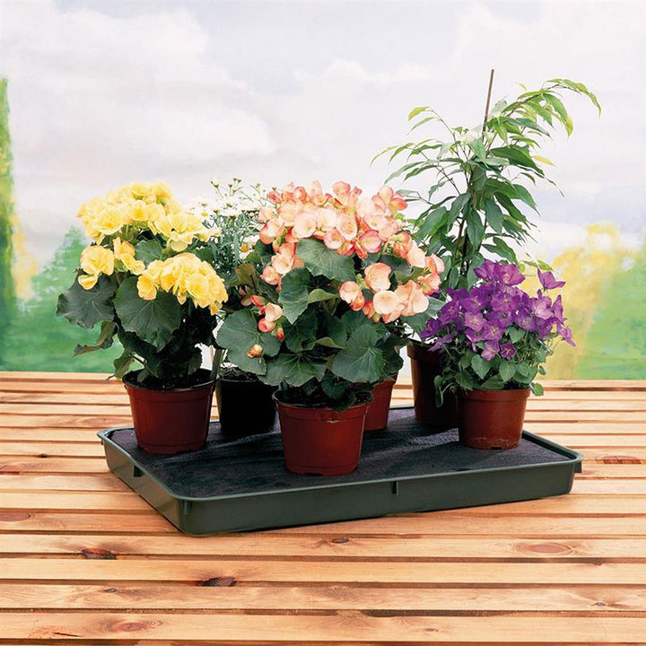 Garland Large Self Watering Plant Tray