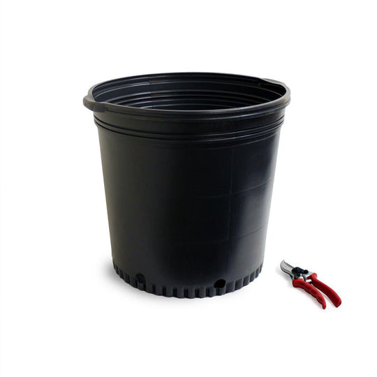 Large Nursery Containers Greenhouse Megastore