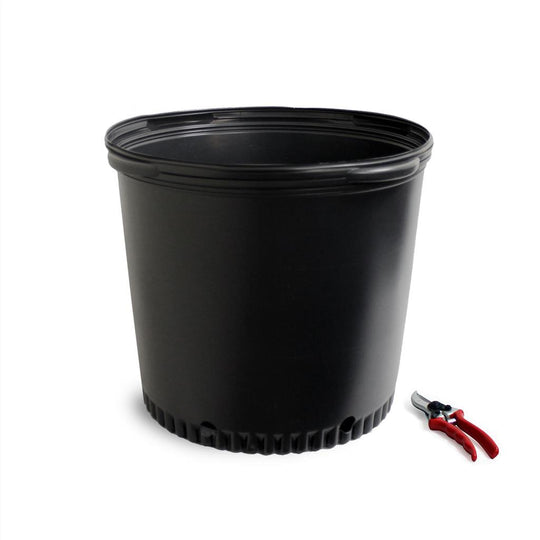 Large Nursery Containers Greenhouse Megastore