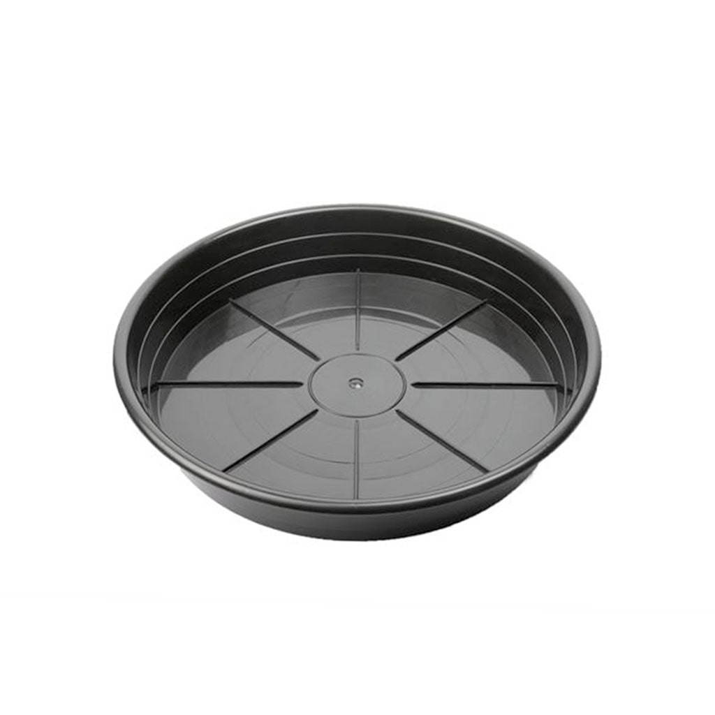 Sunpack 10" Clear Premium Saucer - Image 4