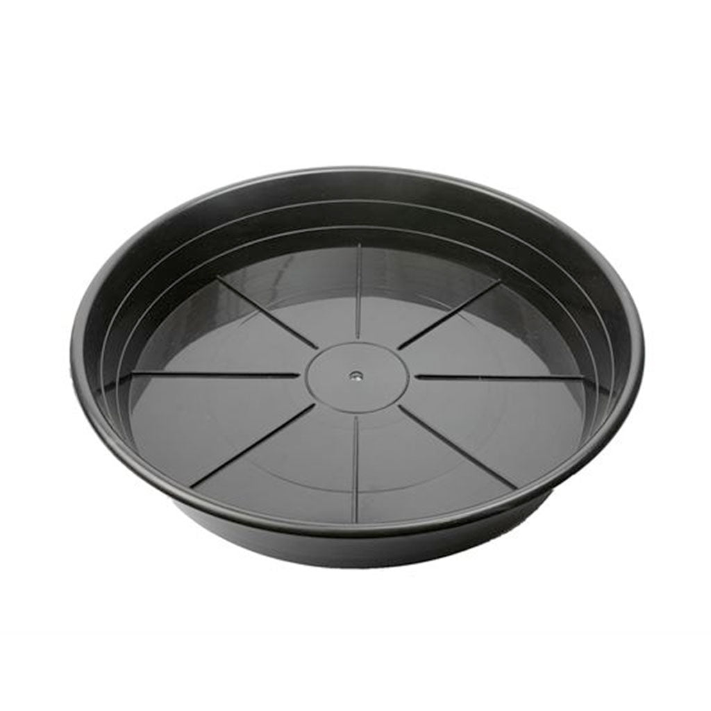 Sunpack 14" Clear Premium Saucer - Image 4