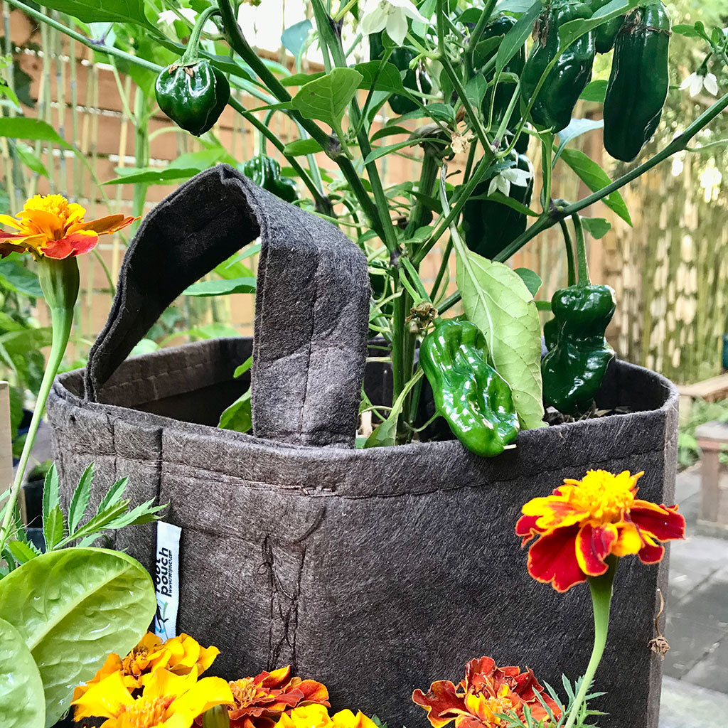Root Pouch #03 w/ Handle Forest Multi Use 3gal Fabric Pot - Image 6