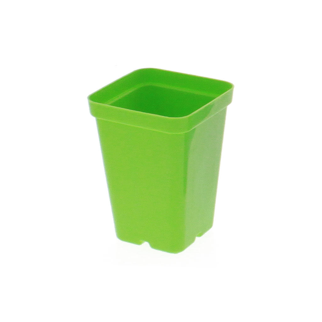 Color Square Injection Molded Pot 2.5"