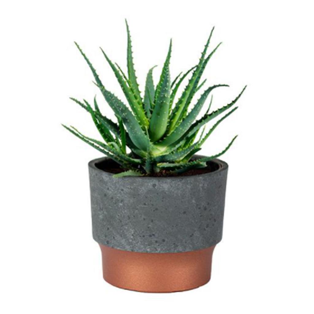 Succulent Sprite Pot