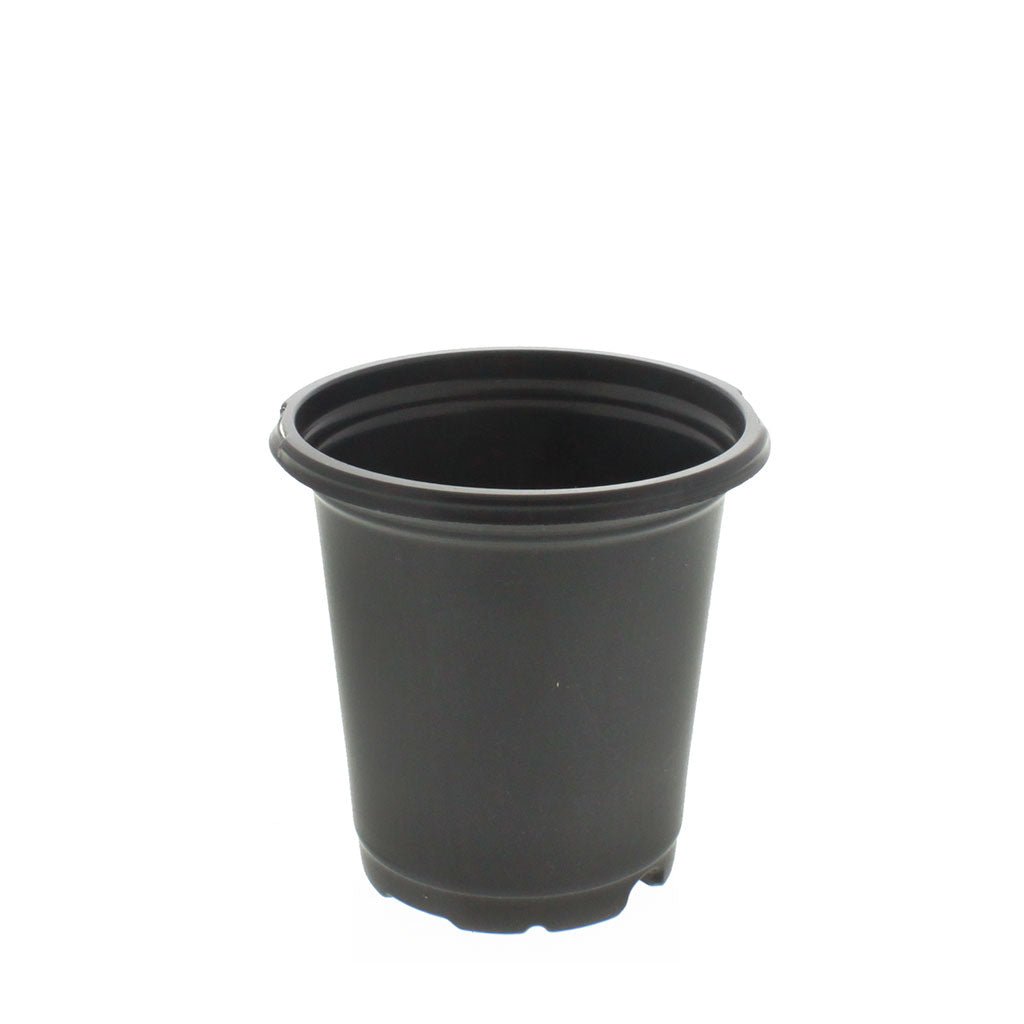 Coex Round Pots - Greenhouse Megastore