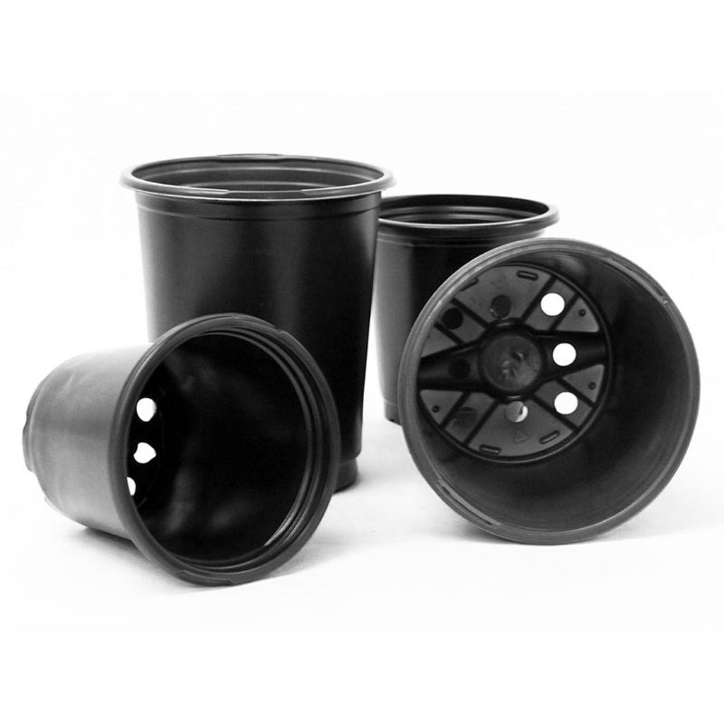 Coex Round Pots - Greenhouse Megastore