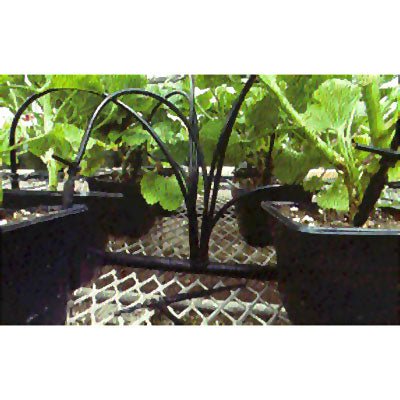 Container Drip Irrigation System - Greenhouse Megastore
