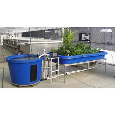 CropKing® Aquaponic System - Greenhouse Megastore