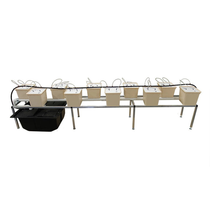 CropKing® Bato Bucket Hydroponic System - Greenhouse Megastore