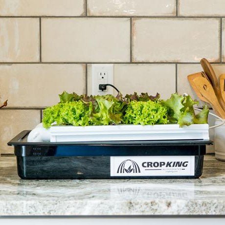 CropKing® Desktop NFT System - Greenhouse Megastore